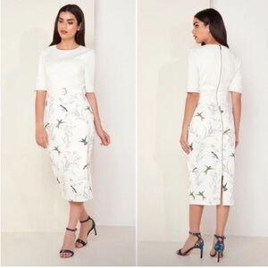 NWT $315 Ted Baker London Kinnya Fortune Belted Body-Con Midi Dress Sz 5 US 12